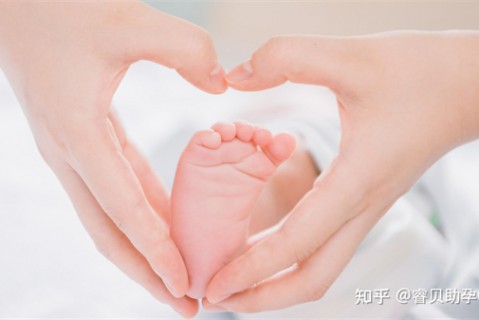 http://www.51dzb.net/post/188.html|广州新闻中心